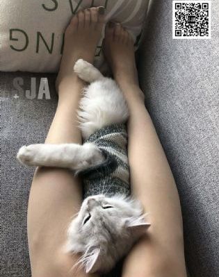 国产乔丹羽绒服_4K免费观看超清